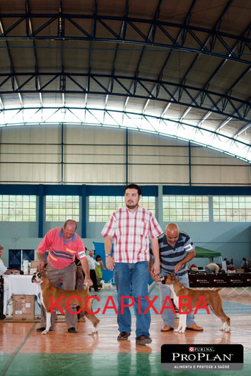 Clique sobre a foto para fechar